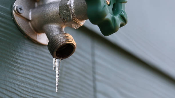 Best Local Plumber Services  in Warson Woods, MO